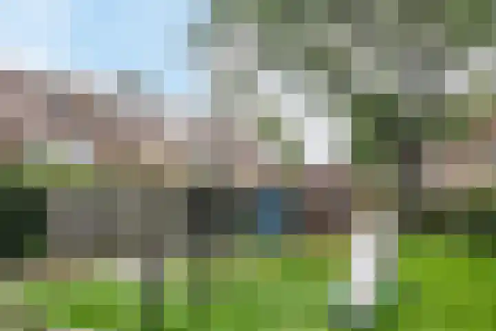 Zeepziederstraat 3 Alkmaar thumbnail 37
