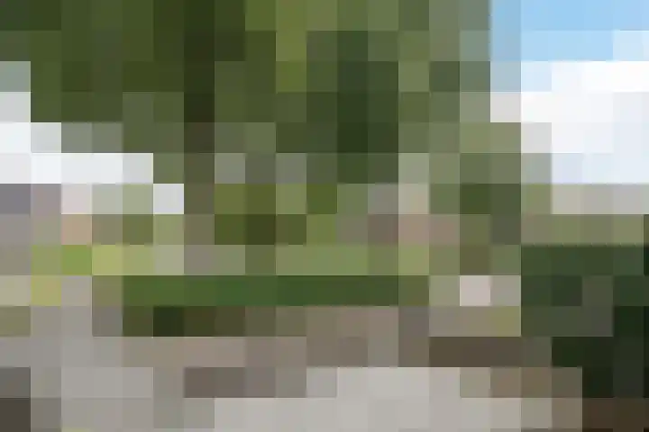 Zeepziederstraat 3 Alkmaar thumbnail 5