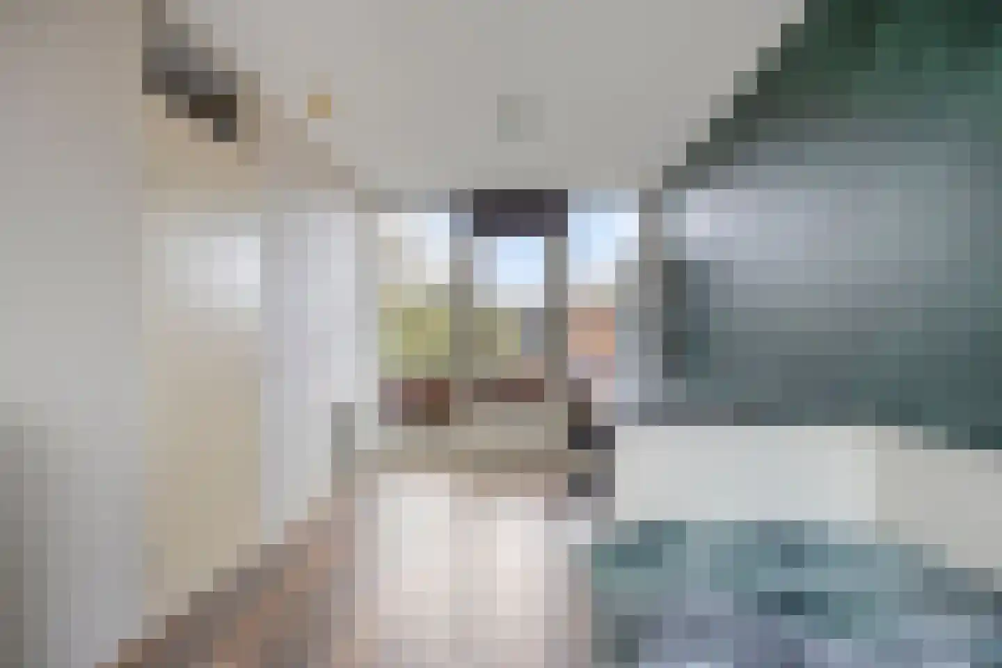 Zeepziederstraat 30 Delfgauw thumbnail 30