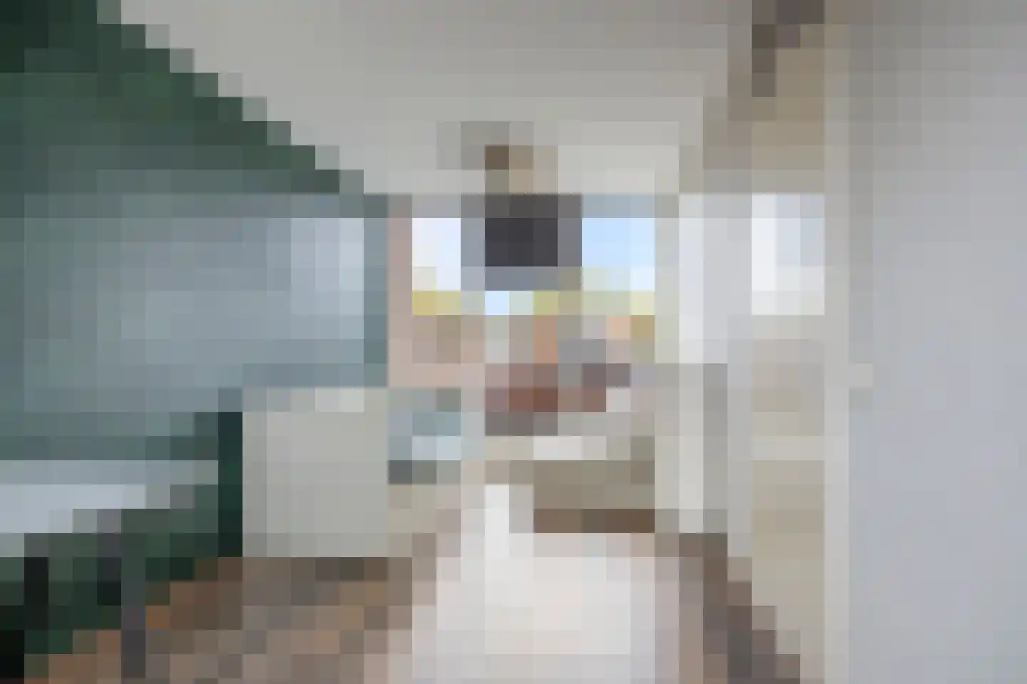 Zeepziederstraat 30 Delfgauw thumbnail 31