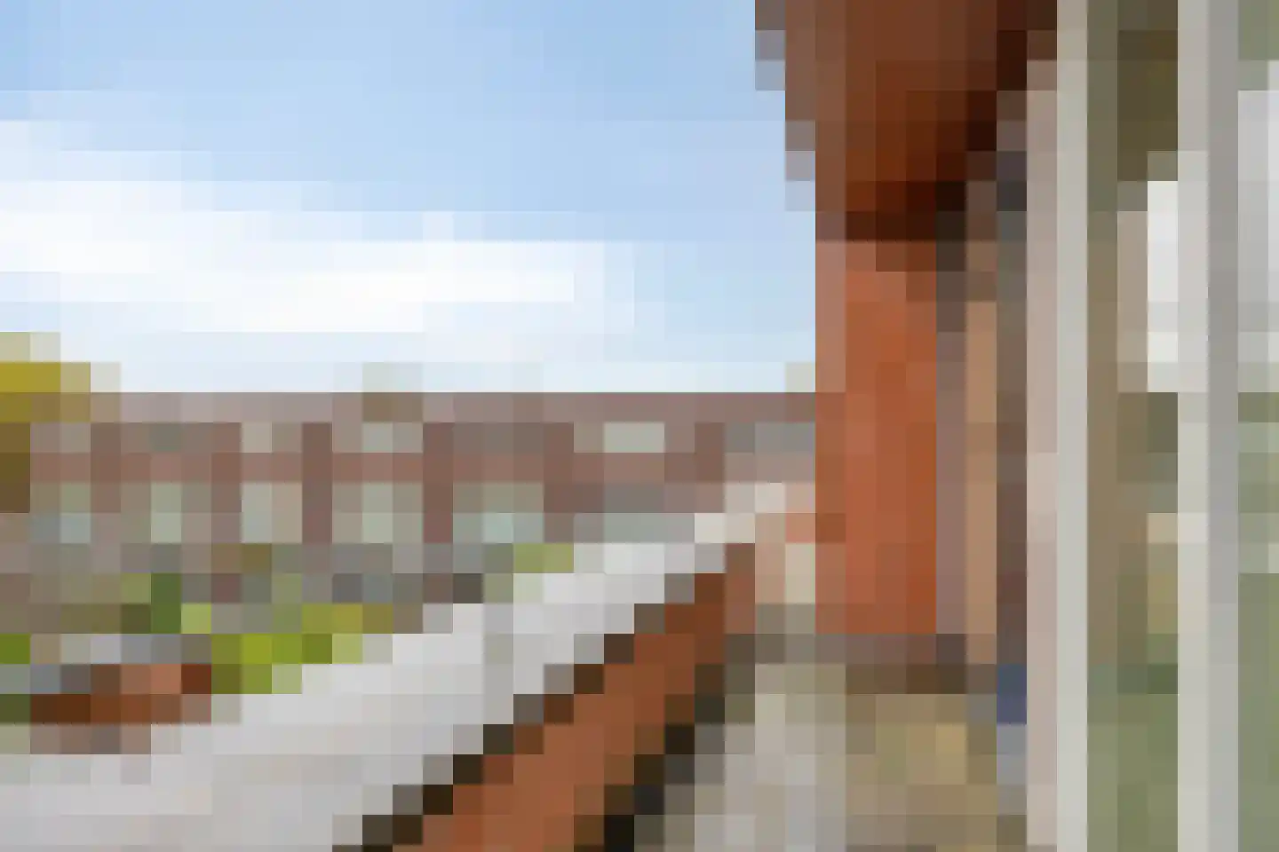 Zeepziederstraat 30 Delfgauw thumbnail 35