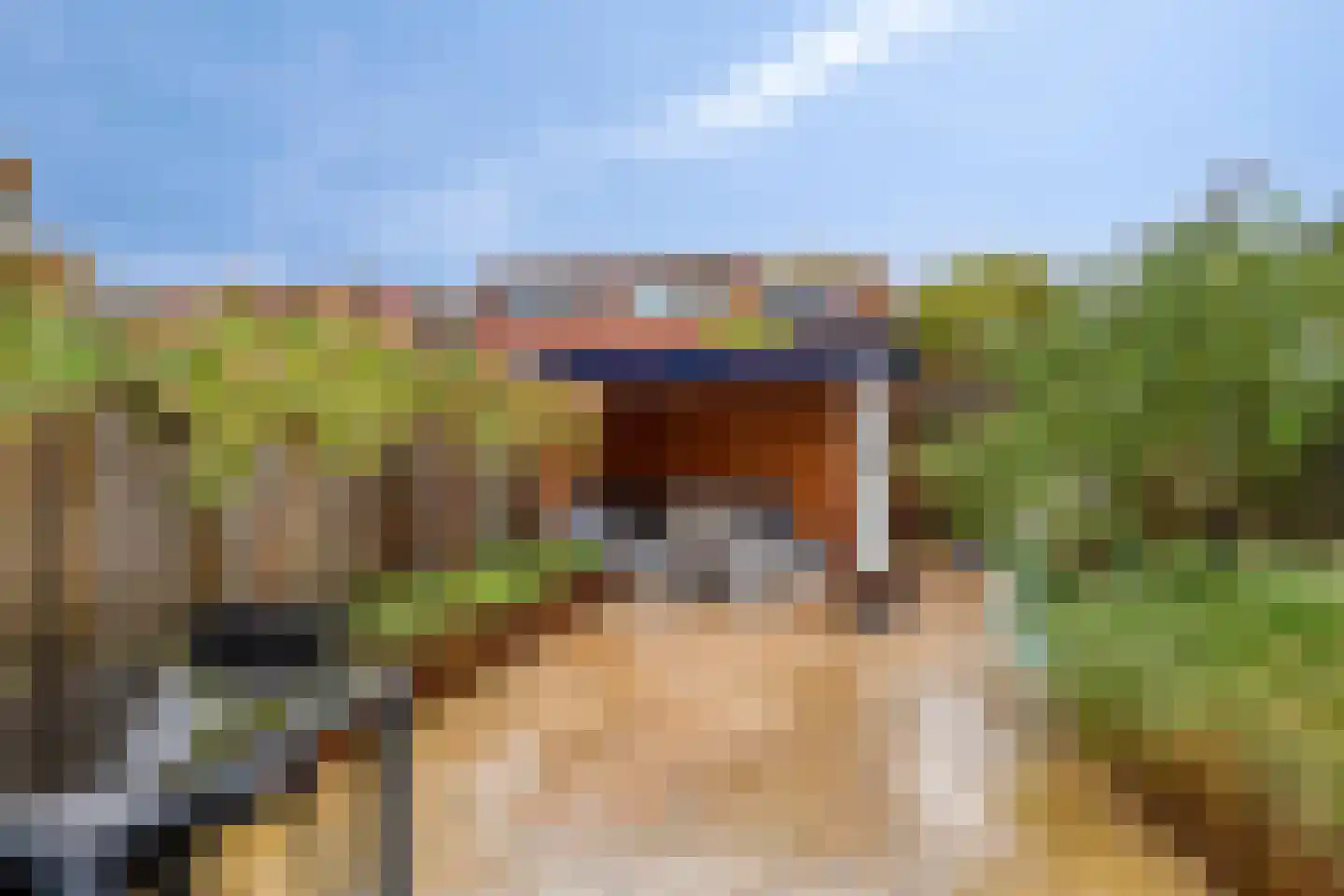 Zeepziederstraat 30 Delfgauw thumbnail 38