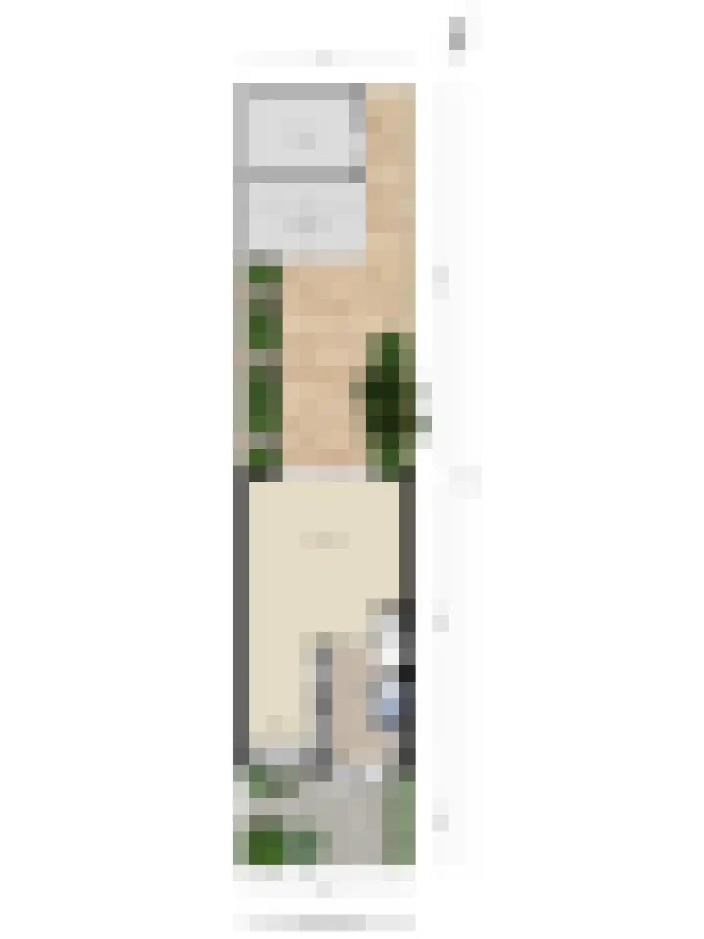 Zeepziederstraat 30 Delfgauw thumbnail 42
