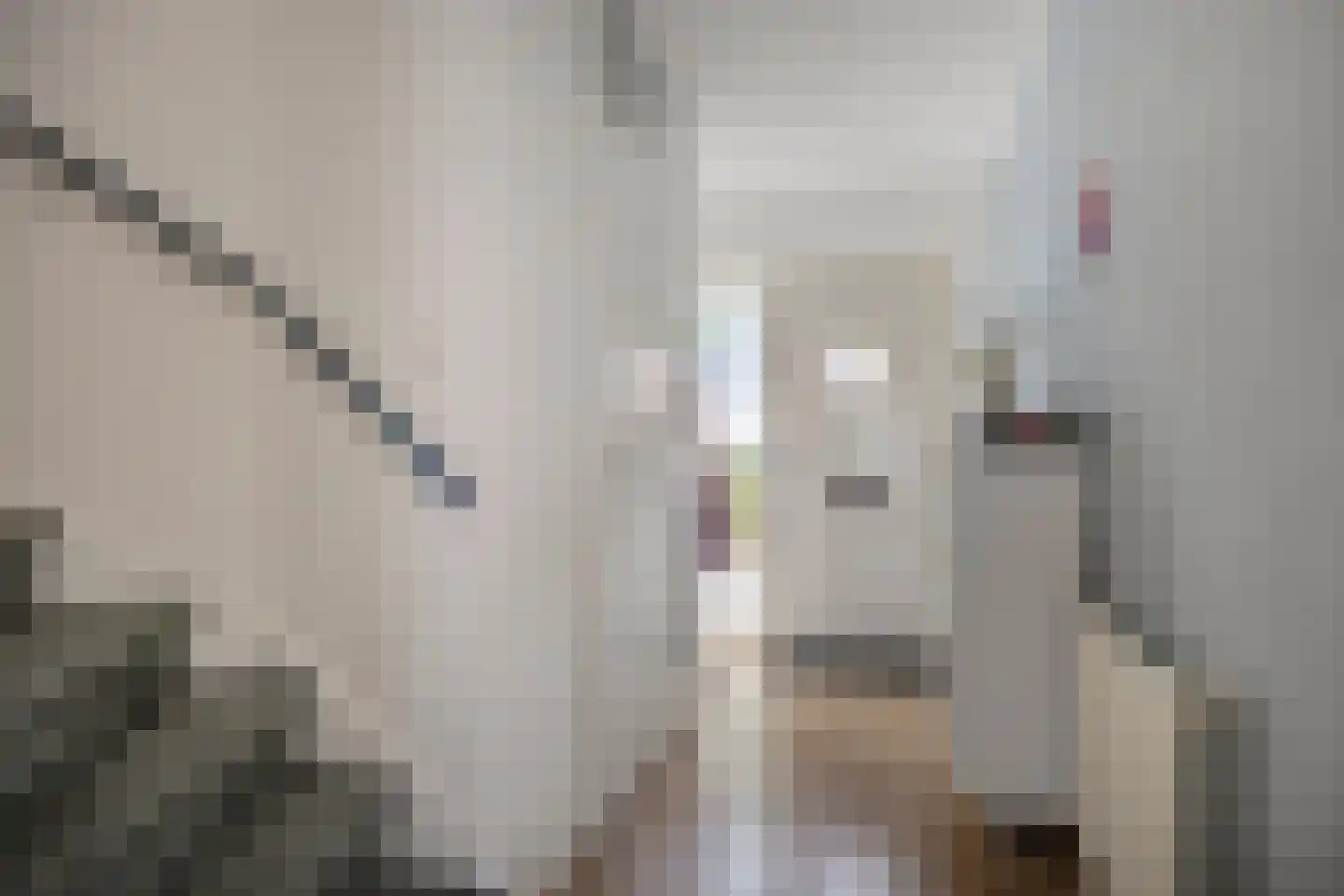 Zeepziederstraat 30 Delfgauw thumbnail 6