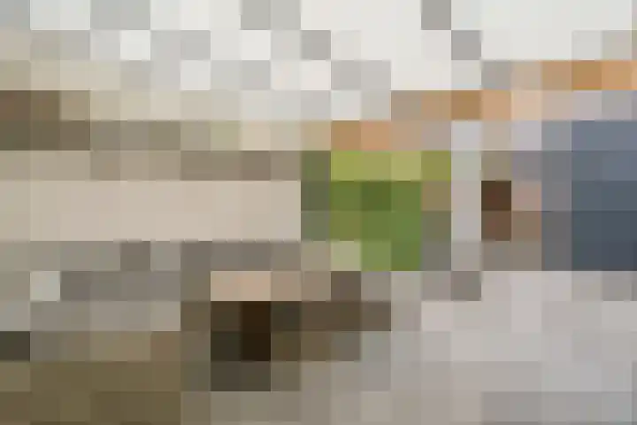 Zeepziederstraat 5 Alkmaar thumbnail 34