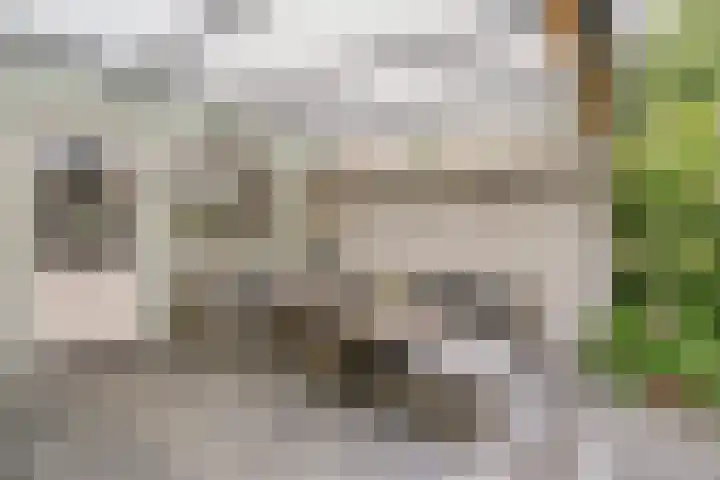 Zeepziederstraat 5 Alkmaar thumbnail 35