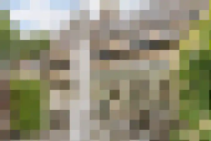 Zeepziederstraat 5 Alkmaar thumbnail 38