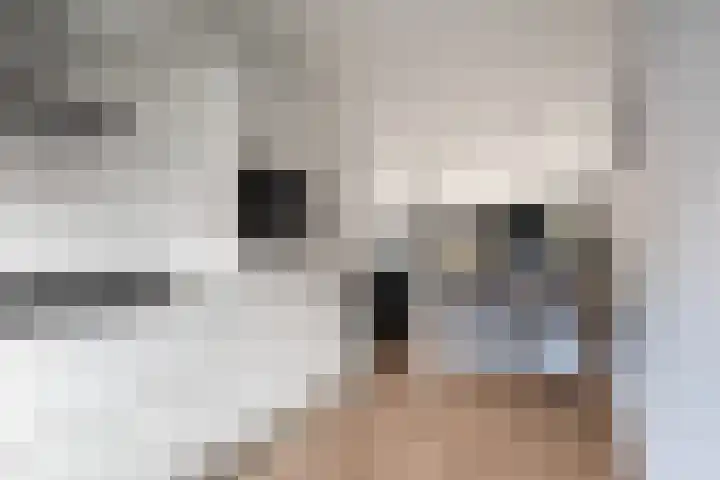 Zeepziederstraat 5 Delfgauw thumbnail 11
