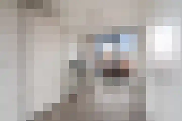 Zeepziederstraat 5 Delfgauw thumbnail 24