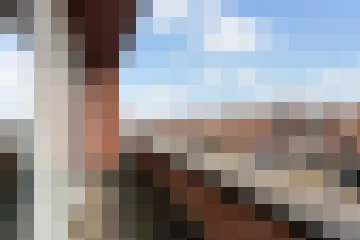 Zeepziederstraat 5 Delfgauw thumbnail 25