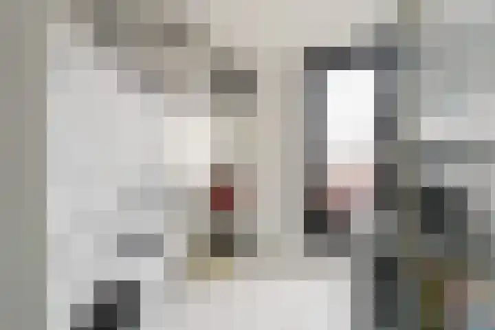 Zeepziederstraat 5 Delfgauw thumbnail 26