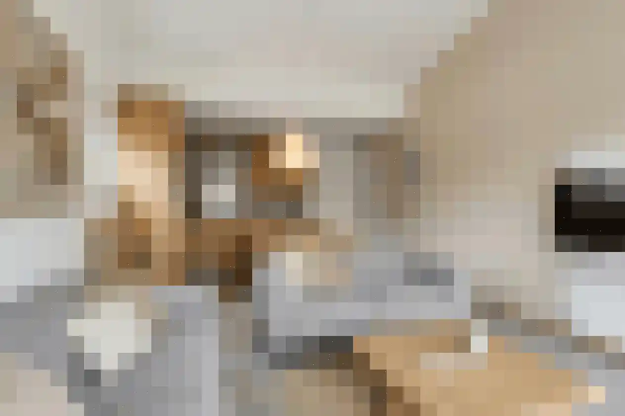Zeereep 1 Ouddorp thumbnail 11