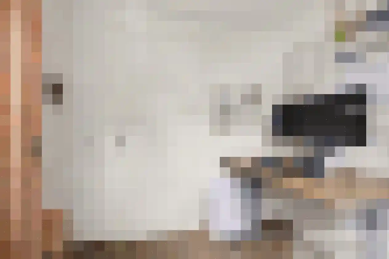 Zeereep 1 Ouddorp thumbnail 24