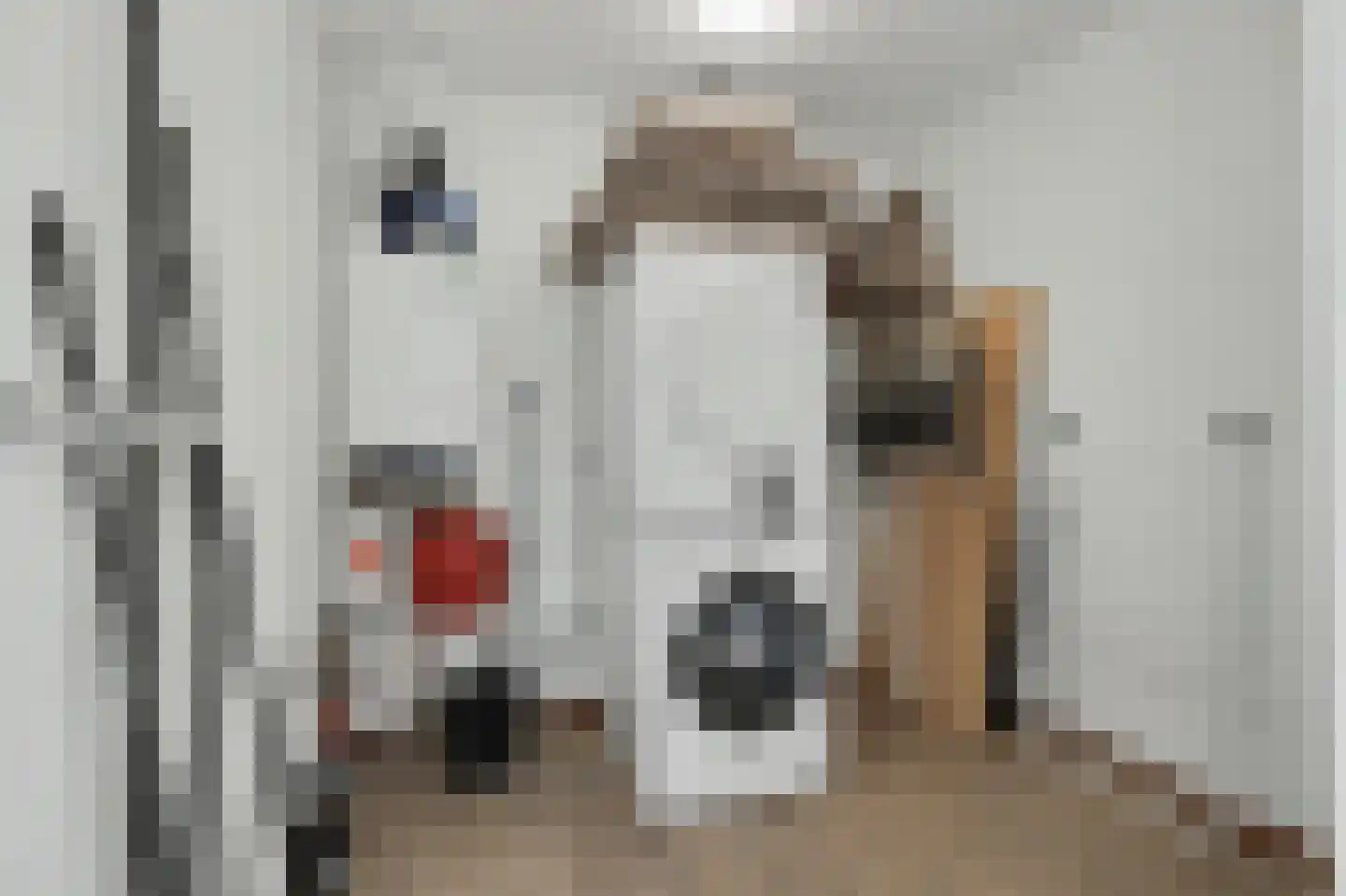 Zeereep 1 Ouddorp thumbnail 30