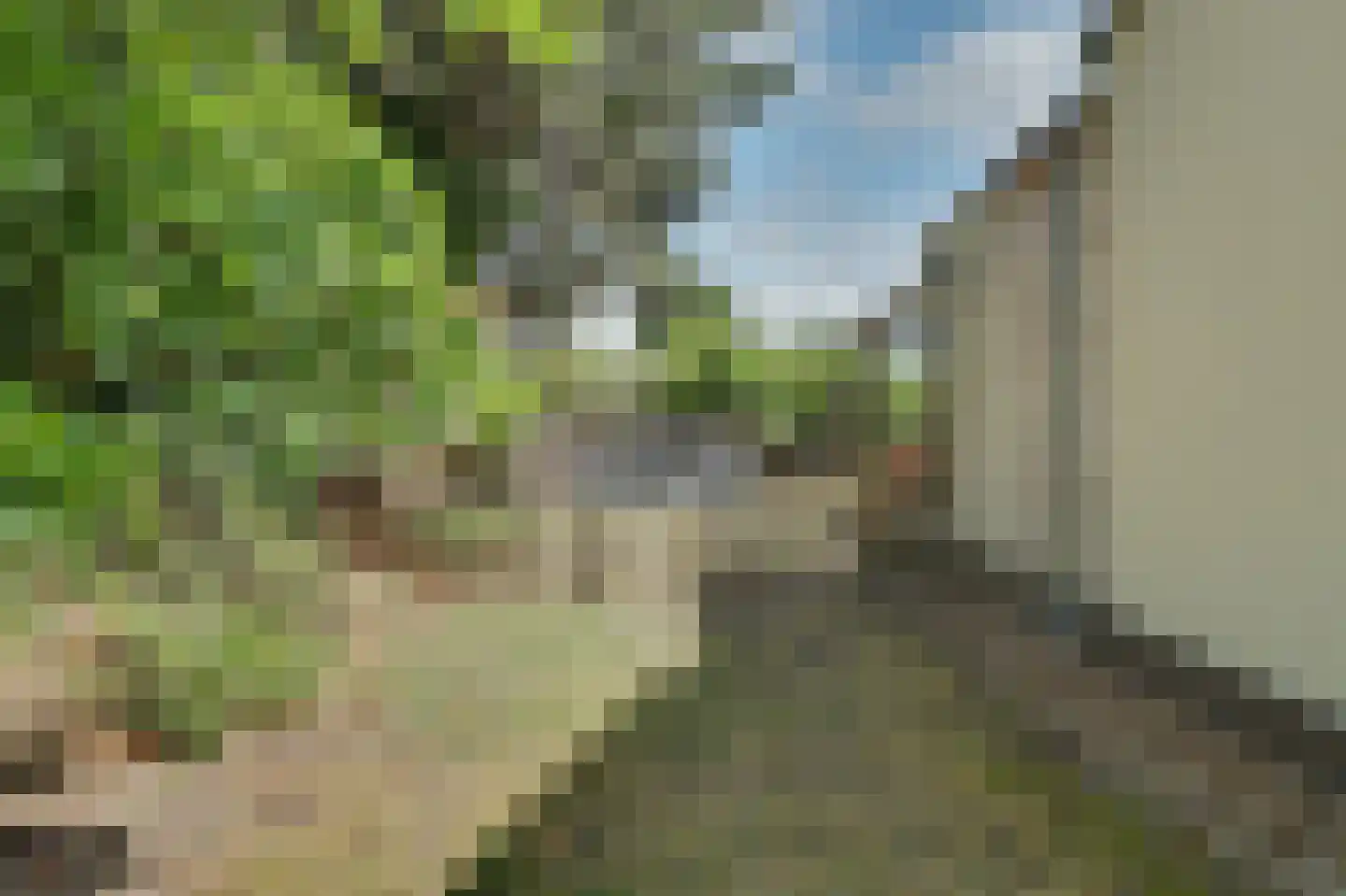 Zeereep 1 Ouddorp thumbnail 35