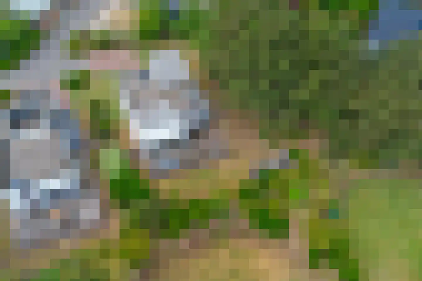 Zeereep 1 Ouddorp thumbnail 43