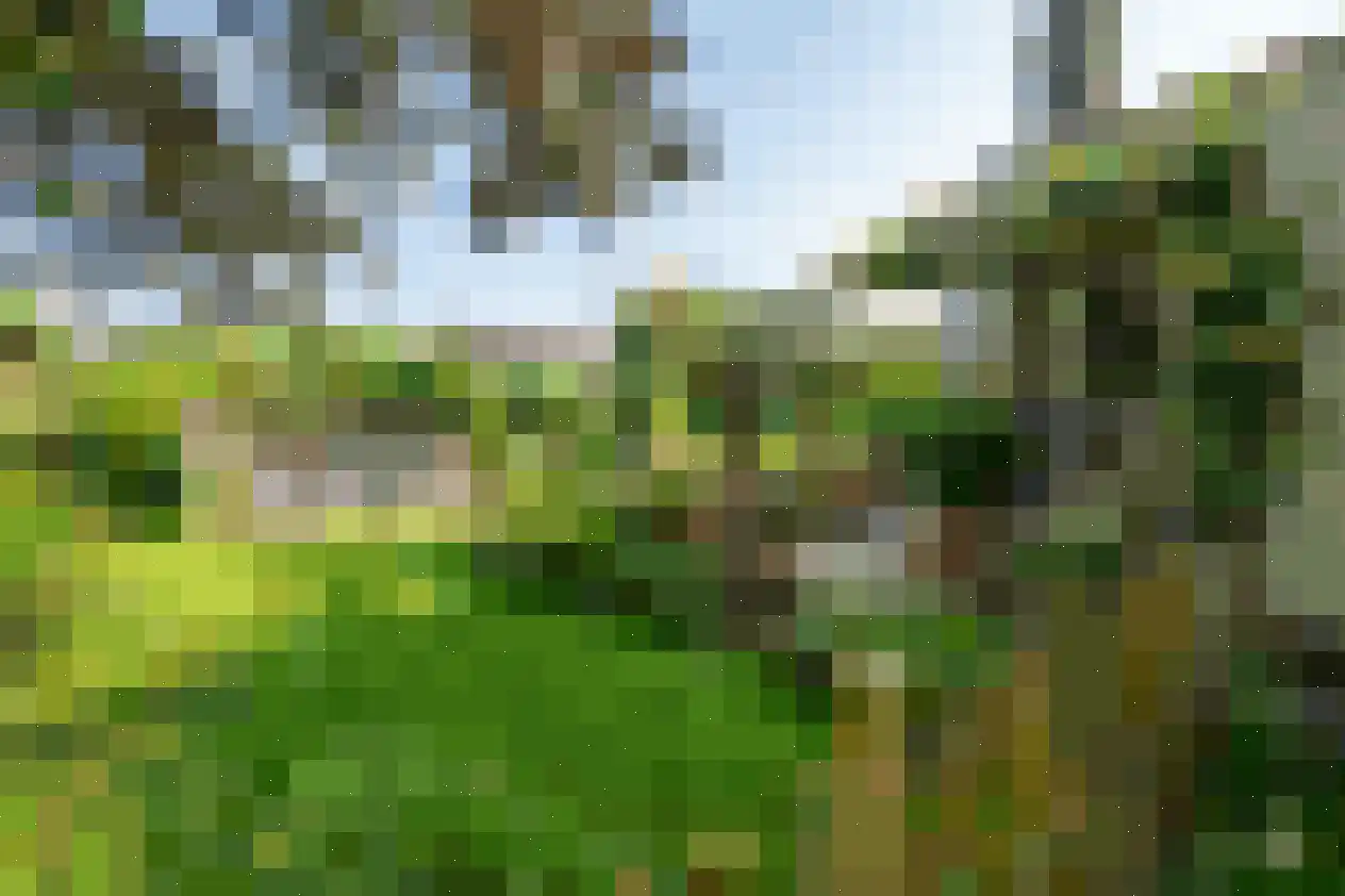 Zeereep 1 Ouddorp thumbnail 8