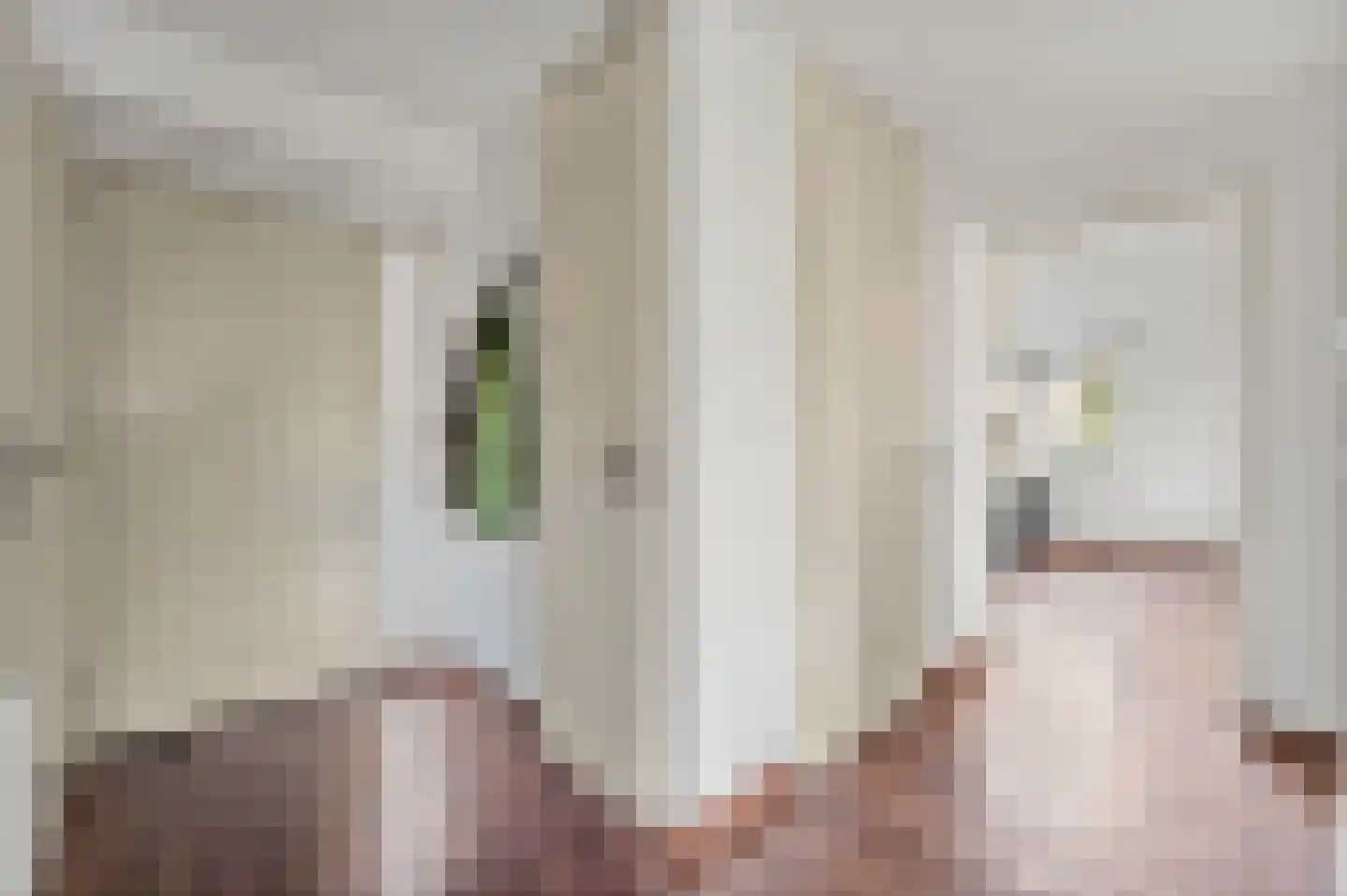 Zeereep 161 Monster thumbnail 13