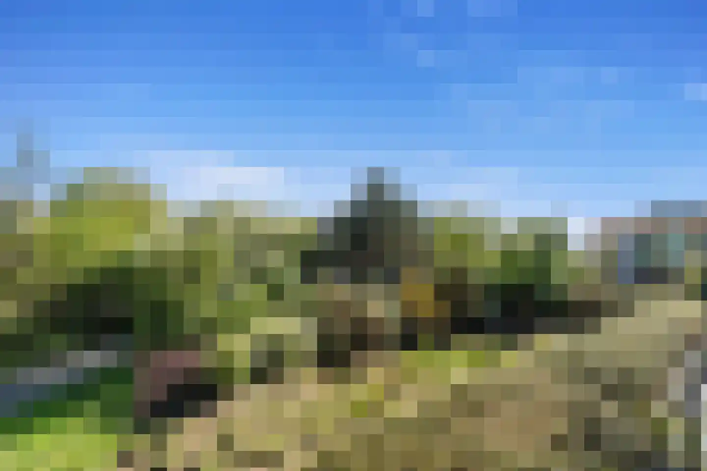 Zeereep 161 Monster thumbnail 31
