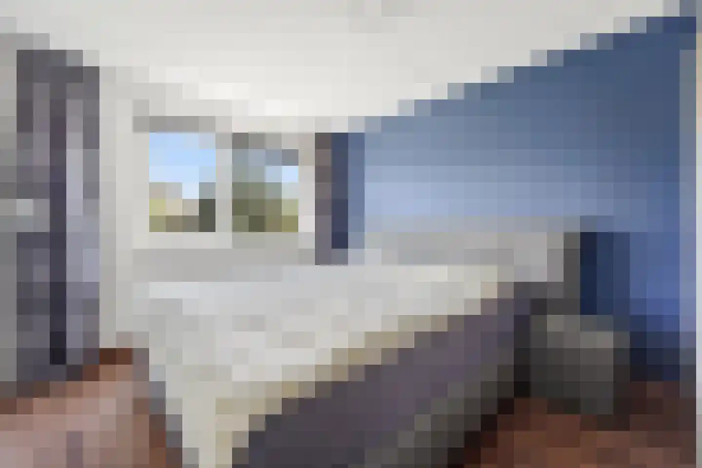 Zeereep 161 Monster thumbnail 4
