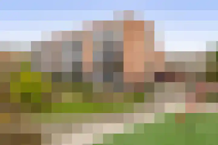 Zeereep 189 en Monster