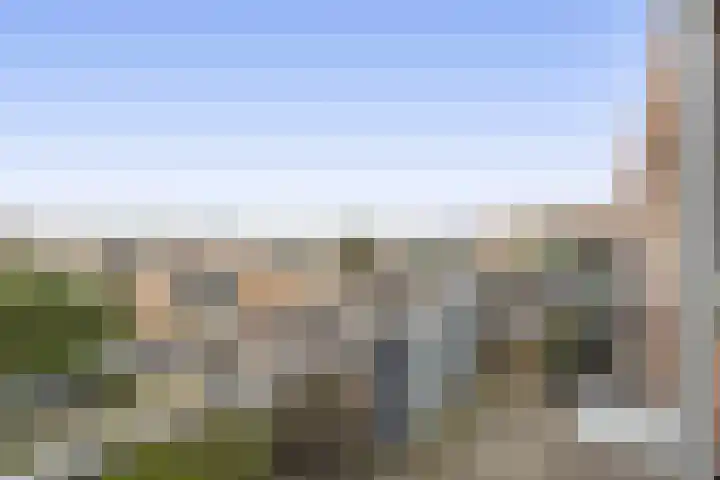 Zeereep 189 Monster thumbnail 6