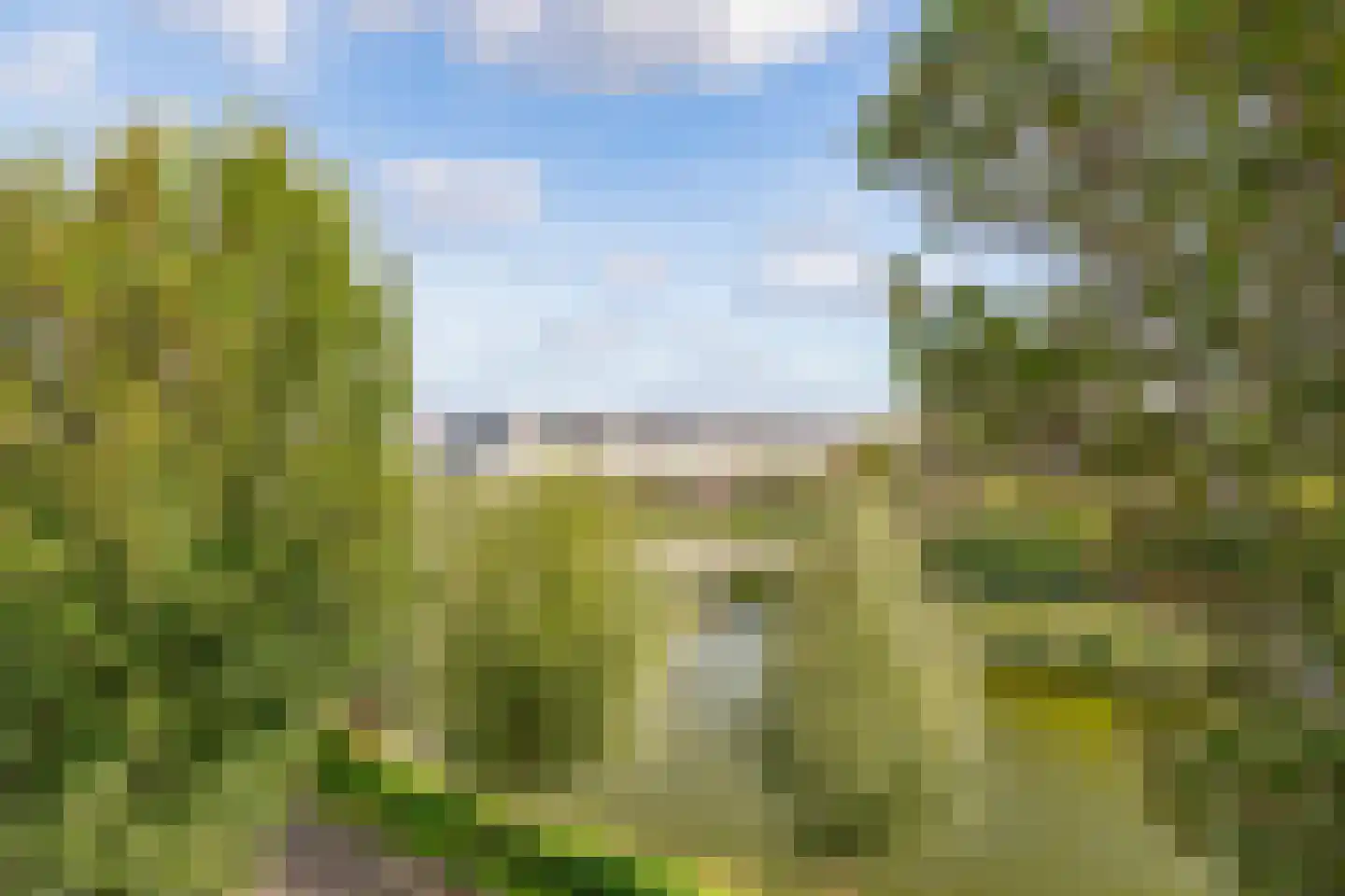 Zeereep 37 Monster thumbnail 26