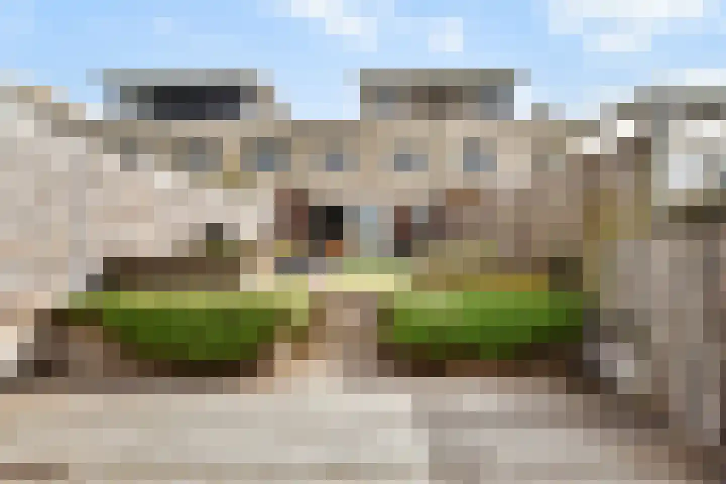 Zeereep 38 Monster thumbnail 27