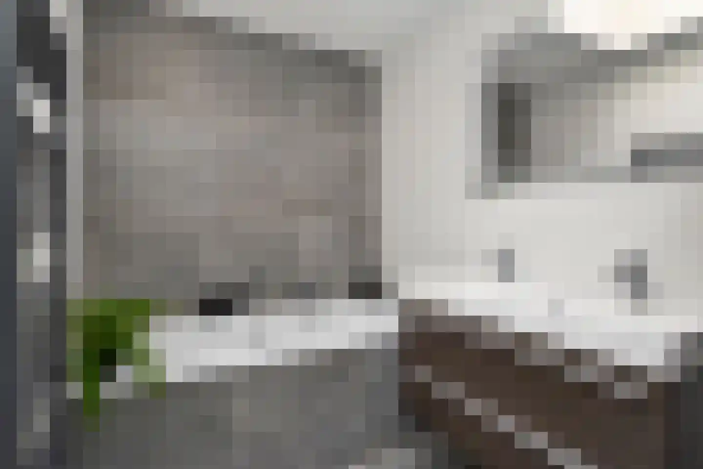 Zeereep 38 Monster thumbnail 36