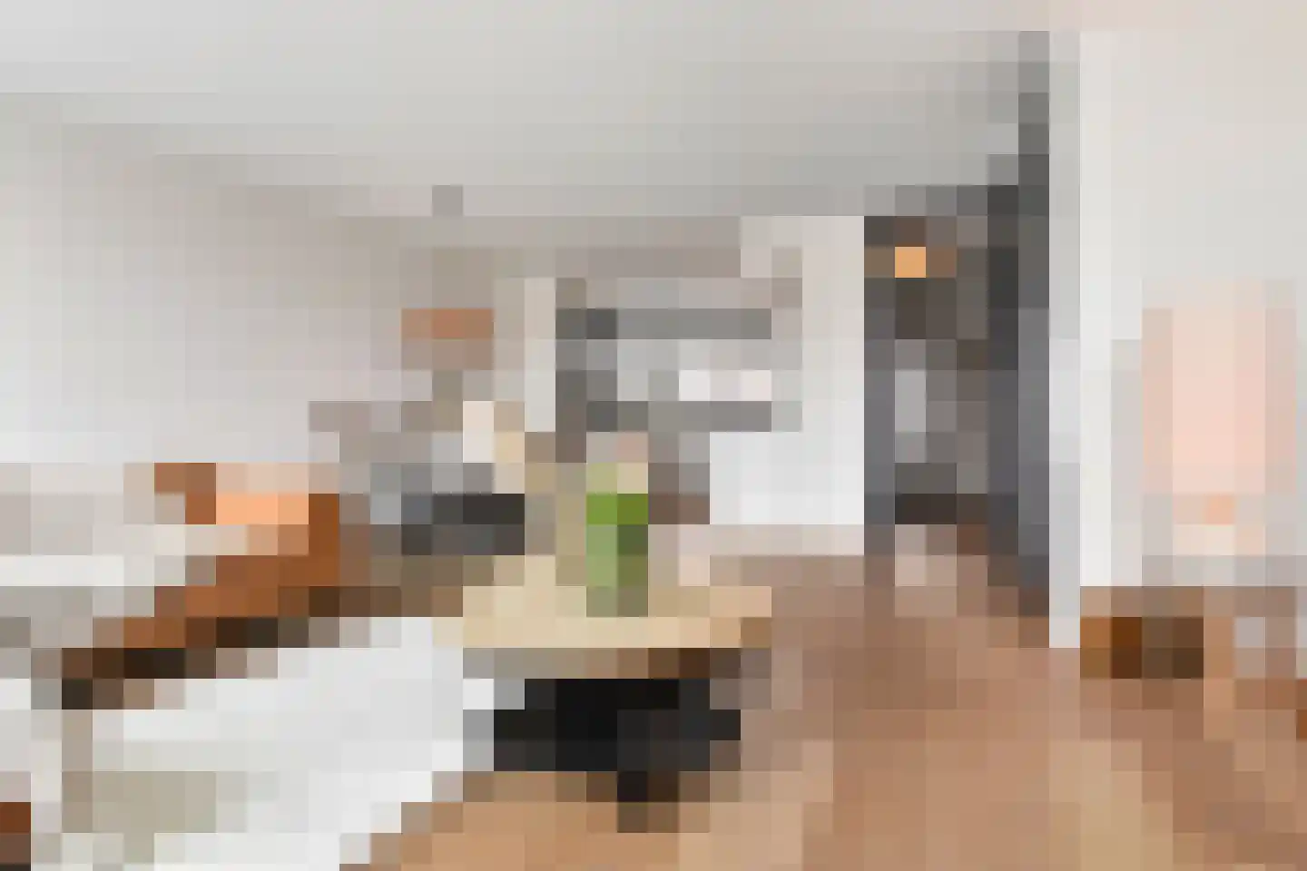 Zeereep 38 Monster thumbnail 4