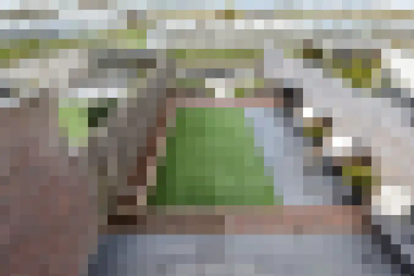 Zeereep 38 Monster thumbnail 42