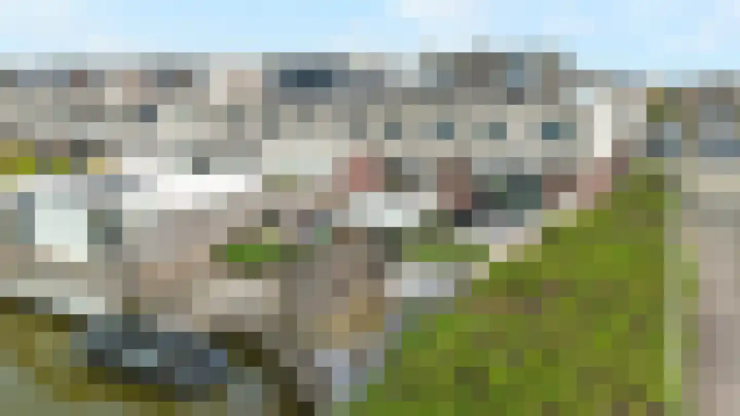 Zeereep 38 Monster thumbnail 44