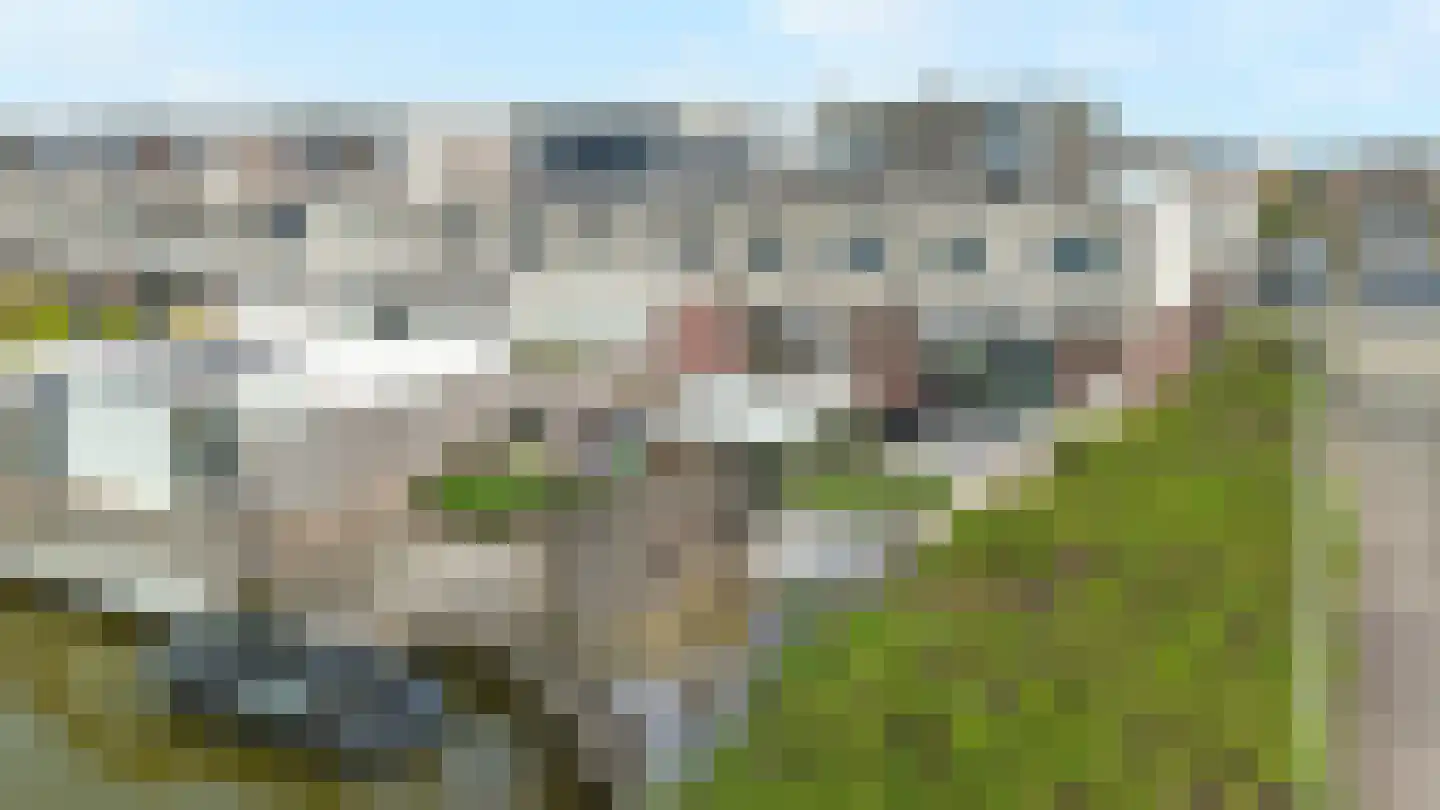 Zeereep 38 Monster thumbnail 45