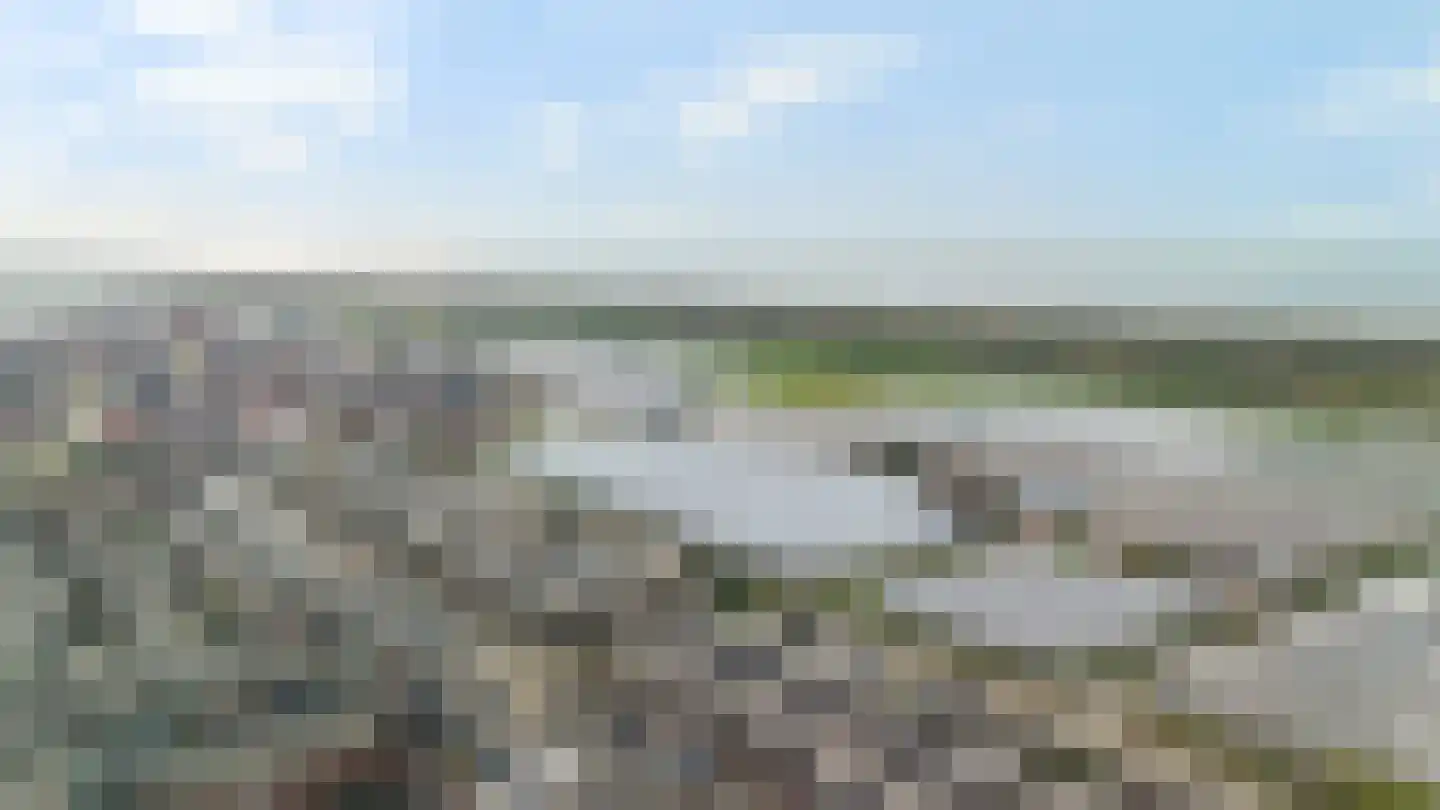 Zeereep 38 Monster thumbnail 46