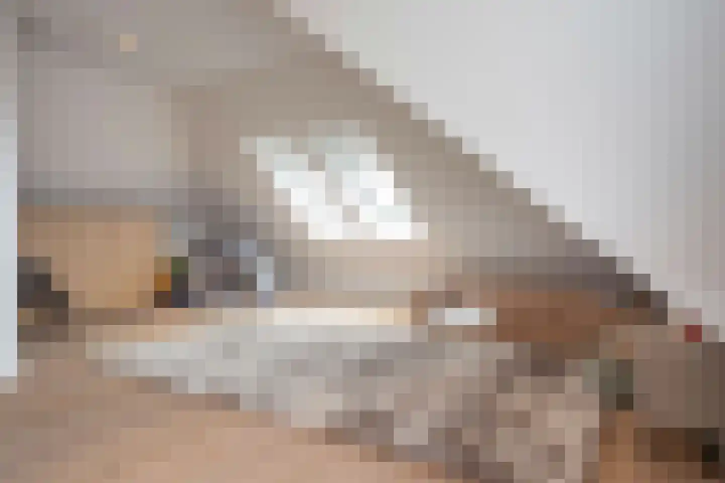 Zeereep 7 Noordwijk thumbnail 25