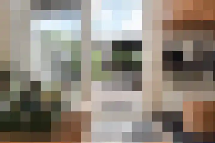 Zeereep 91 Monster thumbnail 13