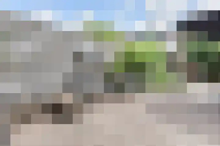 Zeereep 91 Monster thumbnail 34