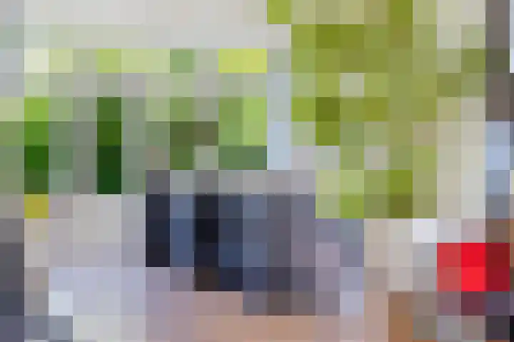 Zeerijperweg 6 Loppersum thumbnail 11