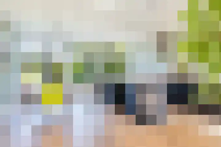 Zeerijperweg 6 Loppersum thumbnail 12