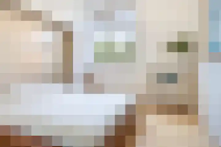 Zeerijperweg 6 Loppersum thumbnail 19