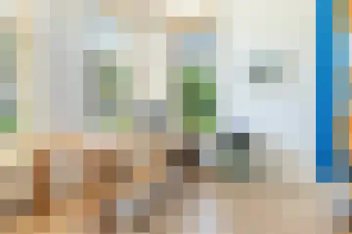 Zeerijperweg 6 Loppersum thumbnail 20