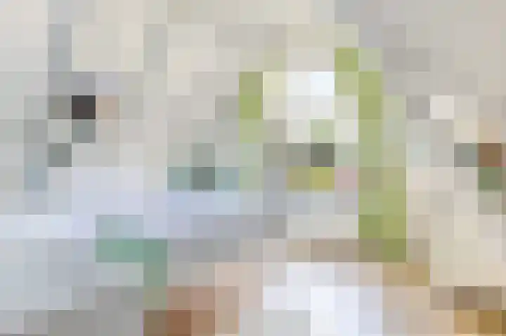 Zeerijperweg 6 Loppersum thumbnail 30