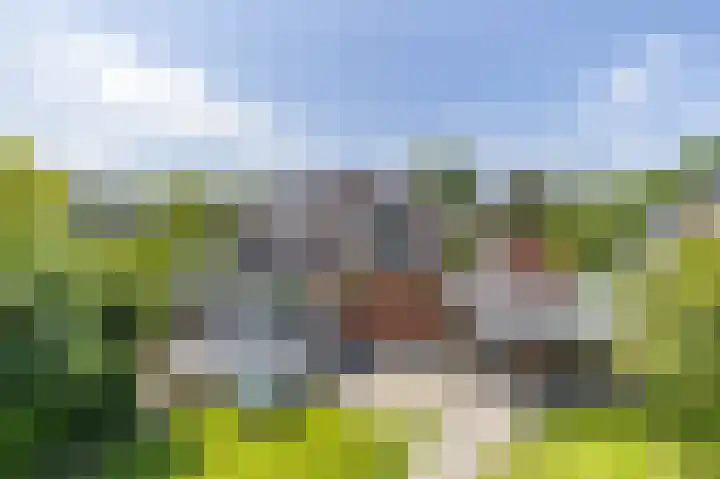 Zeerijperweg 6 Loppersum thumbnail 35
