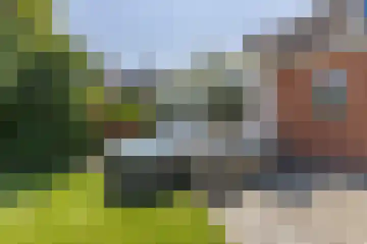 Zeerijperweg 6 Loppersum thumbnail 37