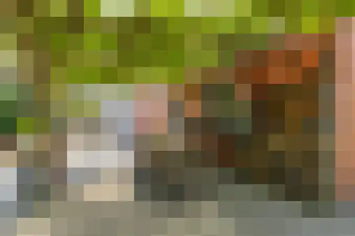 Zeerijperweg 6 Loppersum thumbnail 39