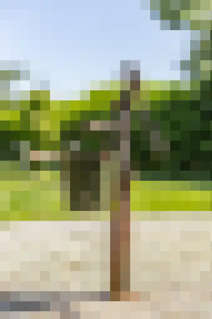 Zeerijperweg 6 Loppersum thumbnail 40