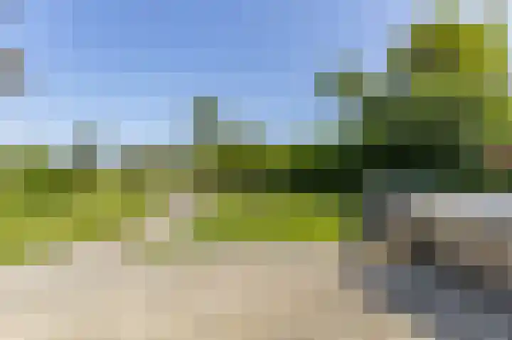 Zeerijperweg 6 Loppersum thumbnail 41