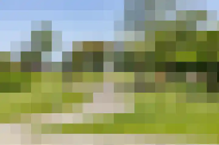 Zeerijperweg 6 Loppersum thumbnail 42