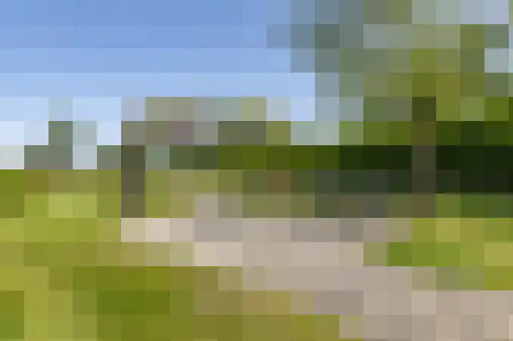 Zeerijperweg 6 Loppersum thumbnail 43