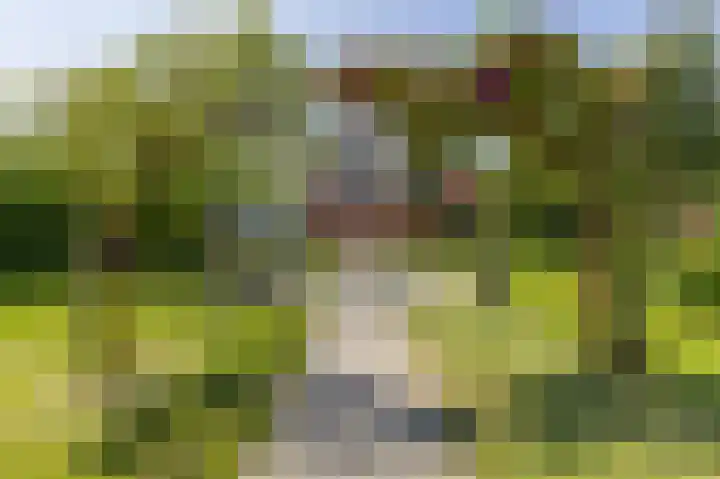 Zeerijperweg 6 Loppersum thumbnail 44